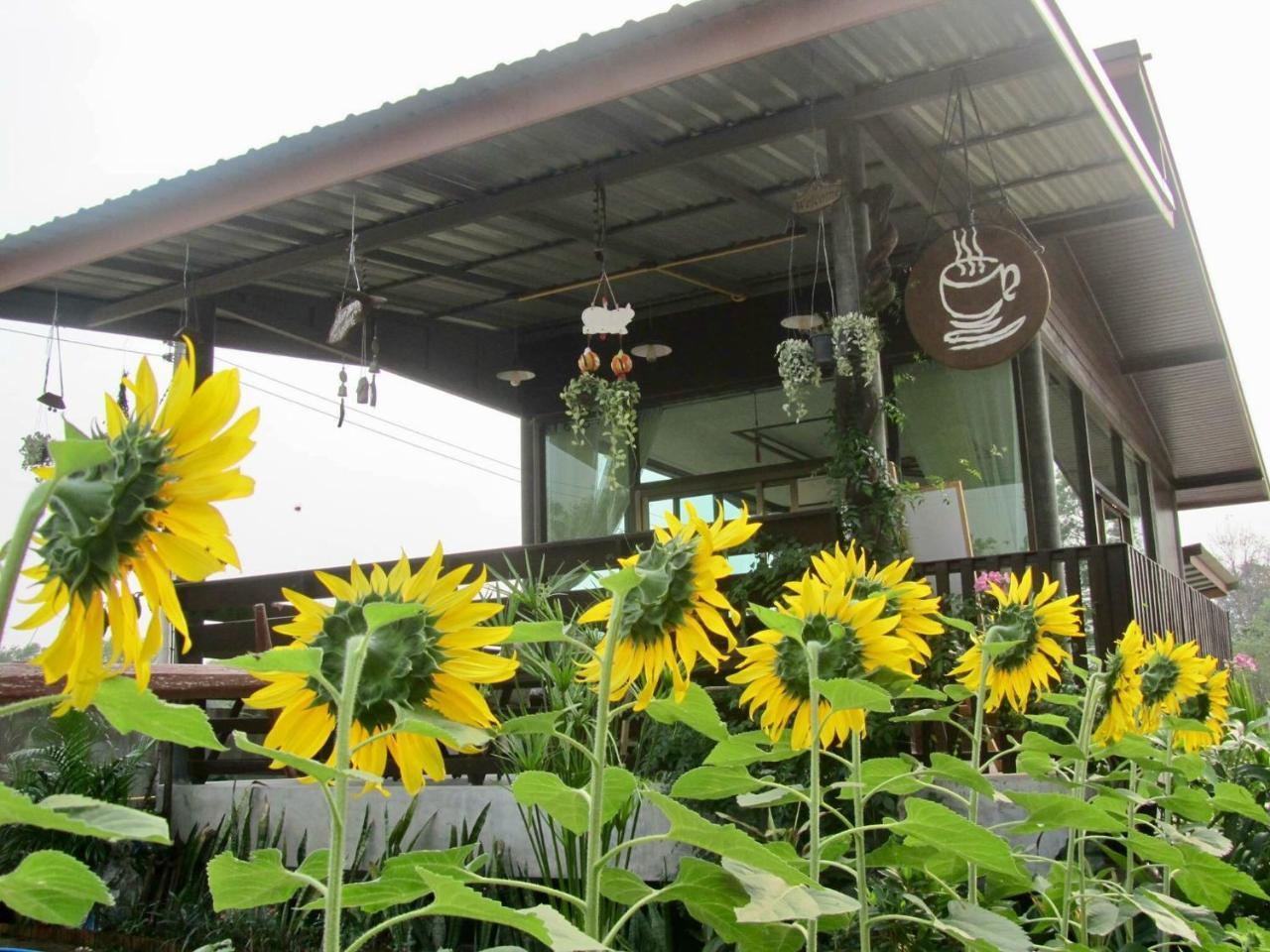 Resort Baan Thung Prasat