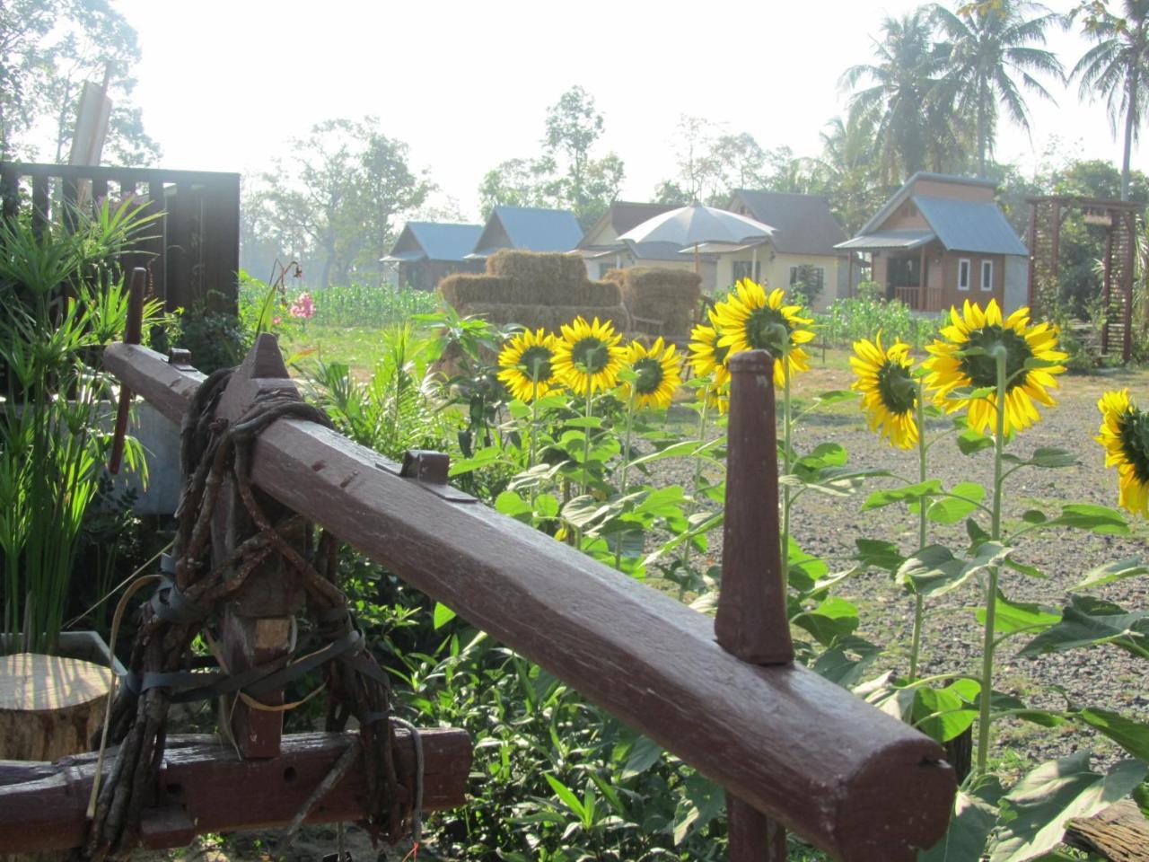 Baan Thung Resort