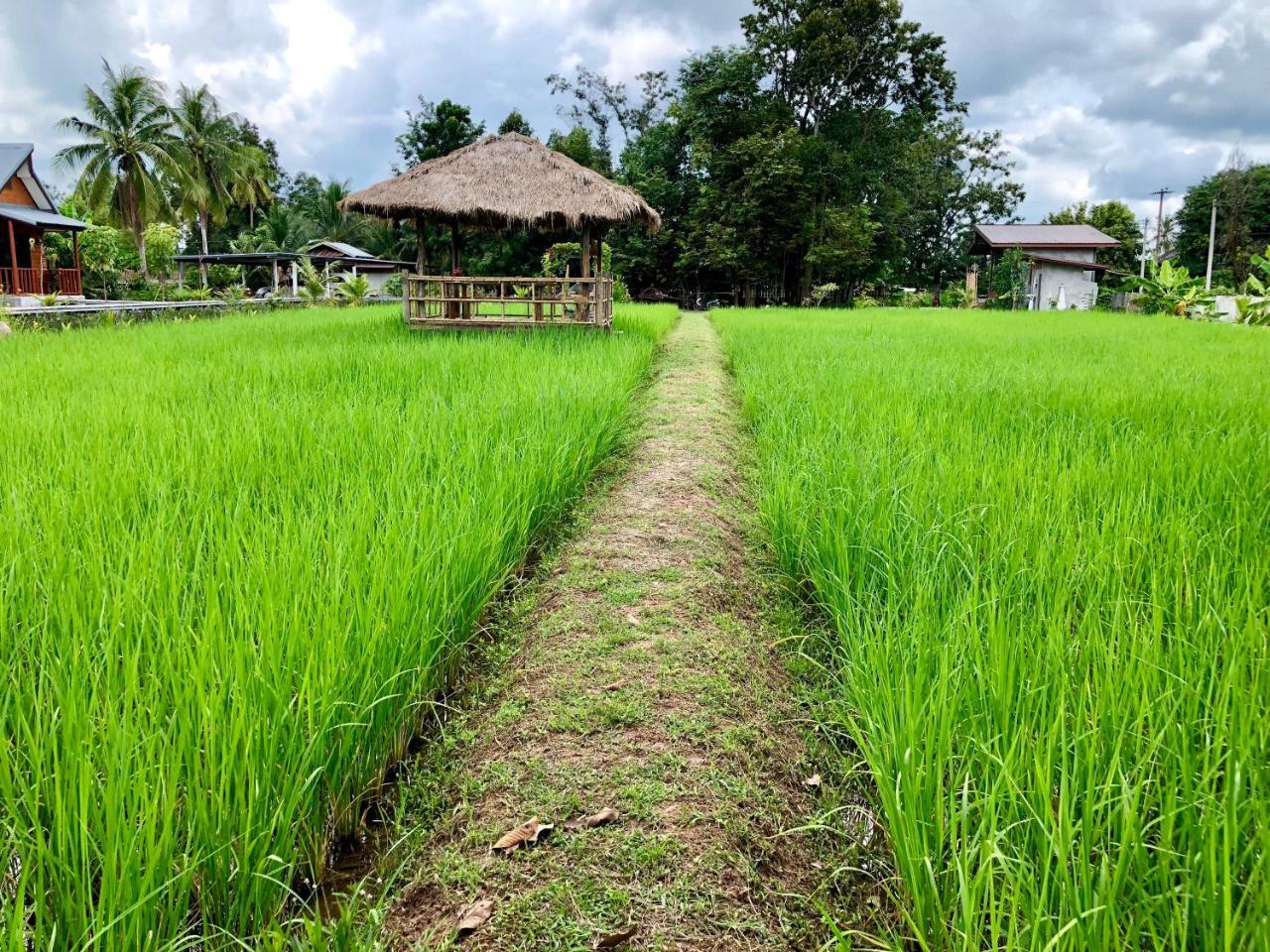 Baan Thung Resort Prasat