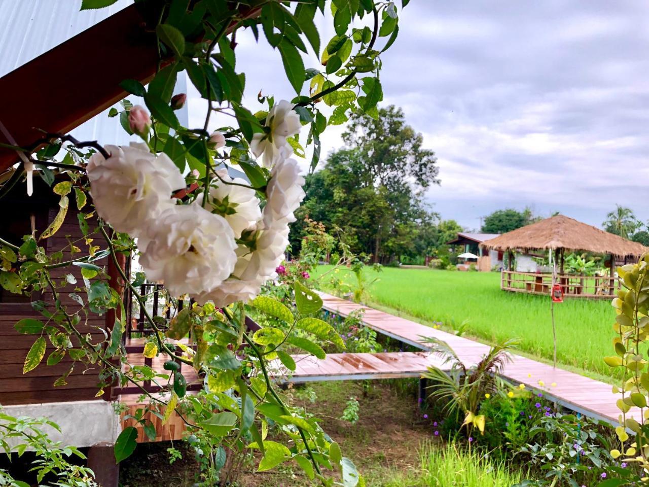 Resort Baan Thung