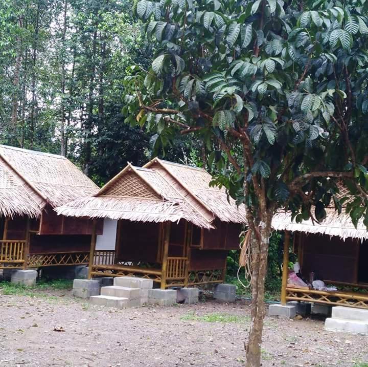 Khai Jungle Experience Resort Khao Sok National Park