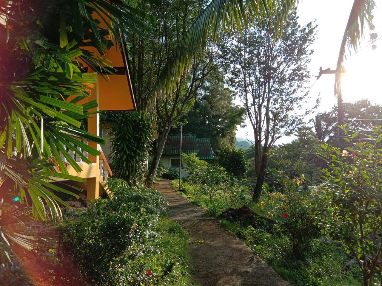 Coconut Garden