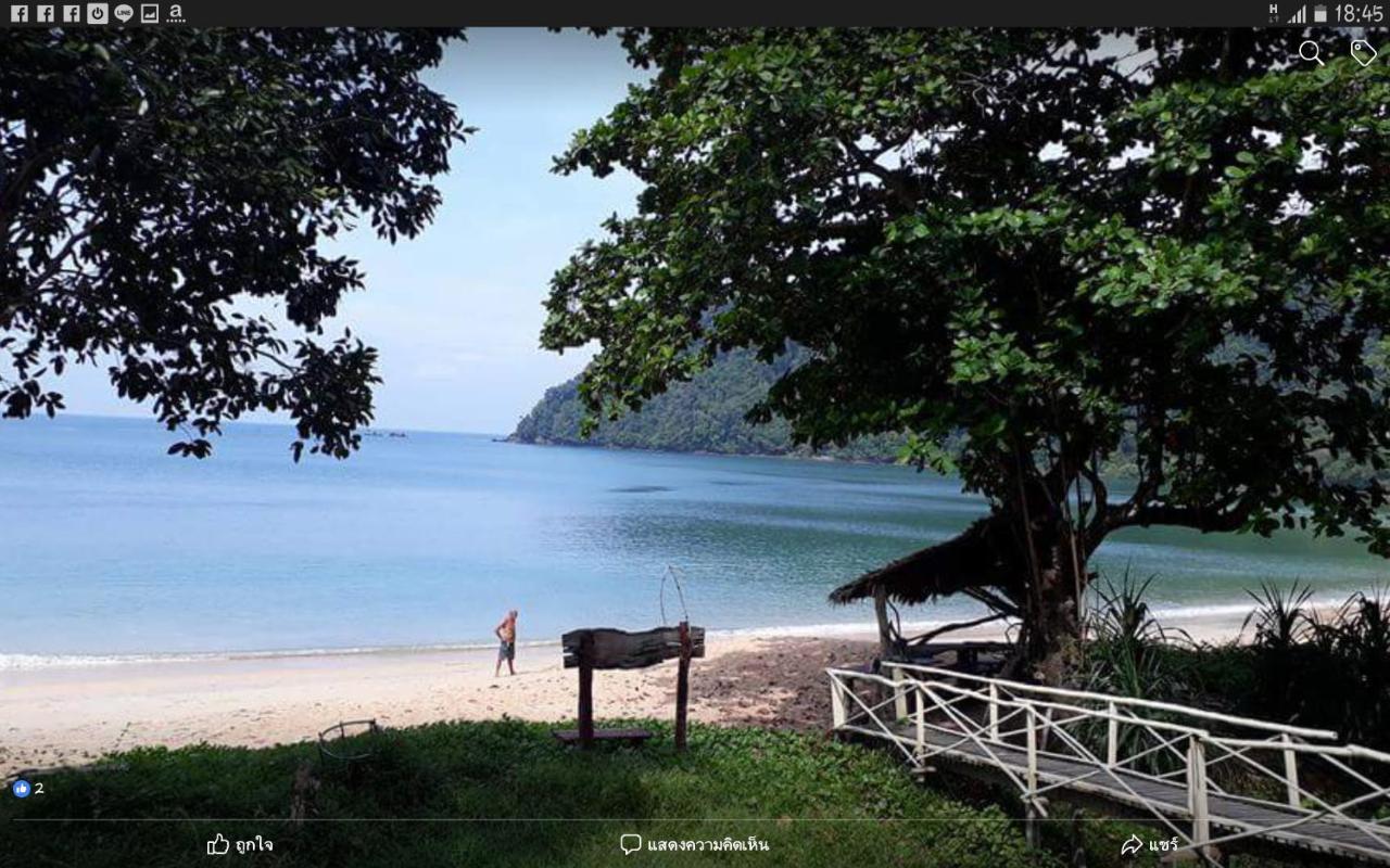 Banana 2* Koh Phayam