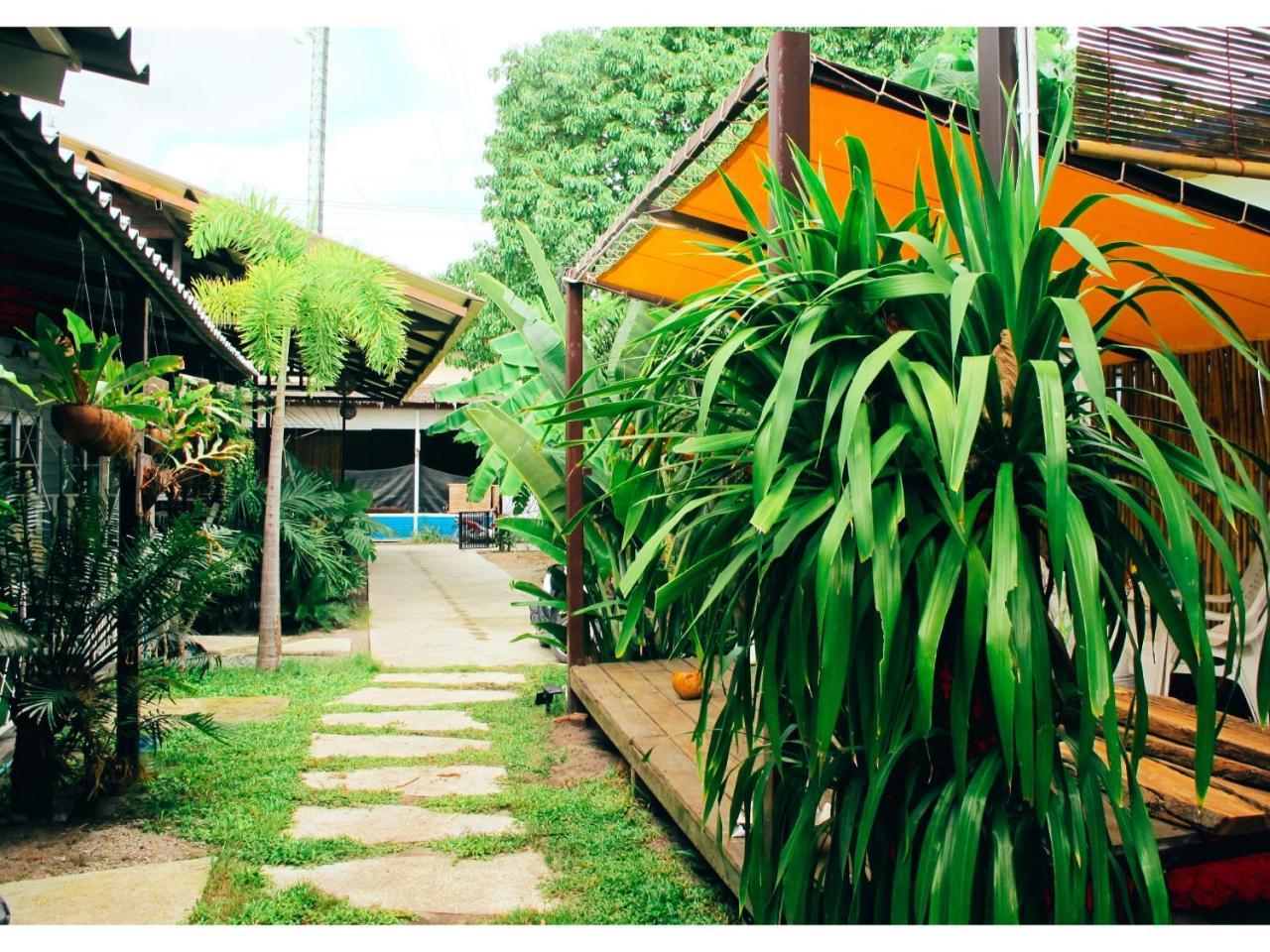 Resort Oasis *