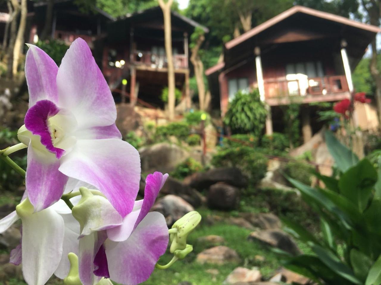 Resort Hill Phi Phi Don