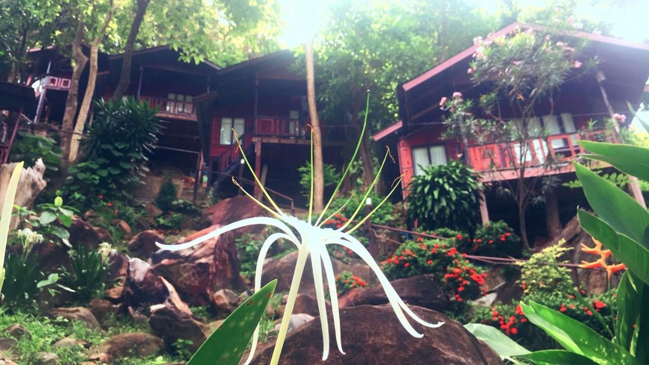 Hill 3* Phi Phi Don