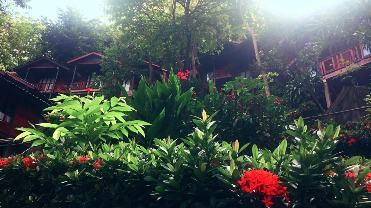 Hill 3* Phi Phi Don