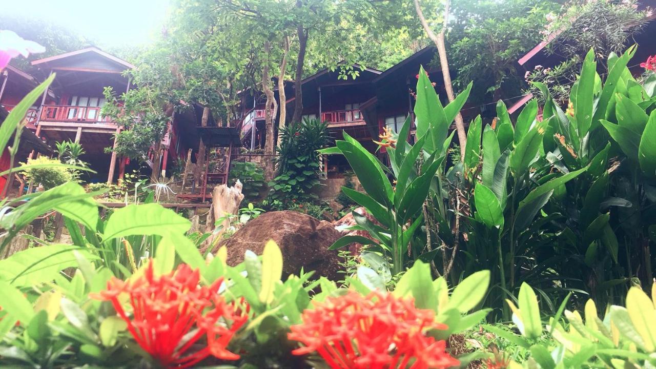 Hill Phi Phi Don
