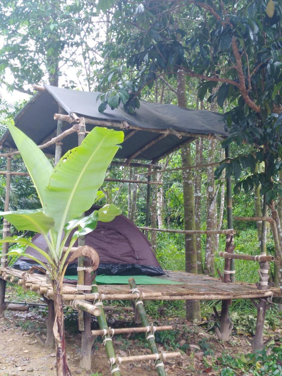 Khai Jungle Experience Khao Sok National Park