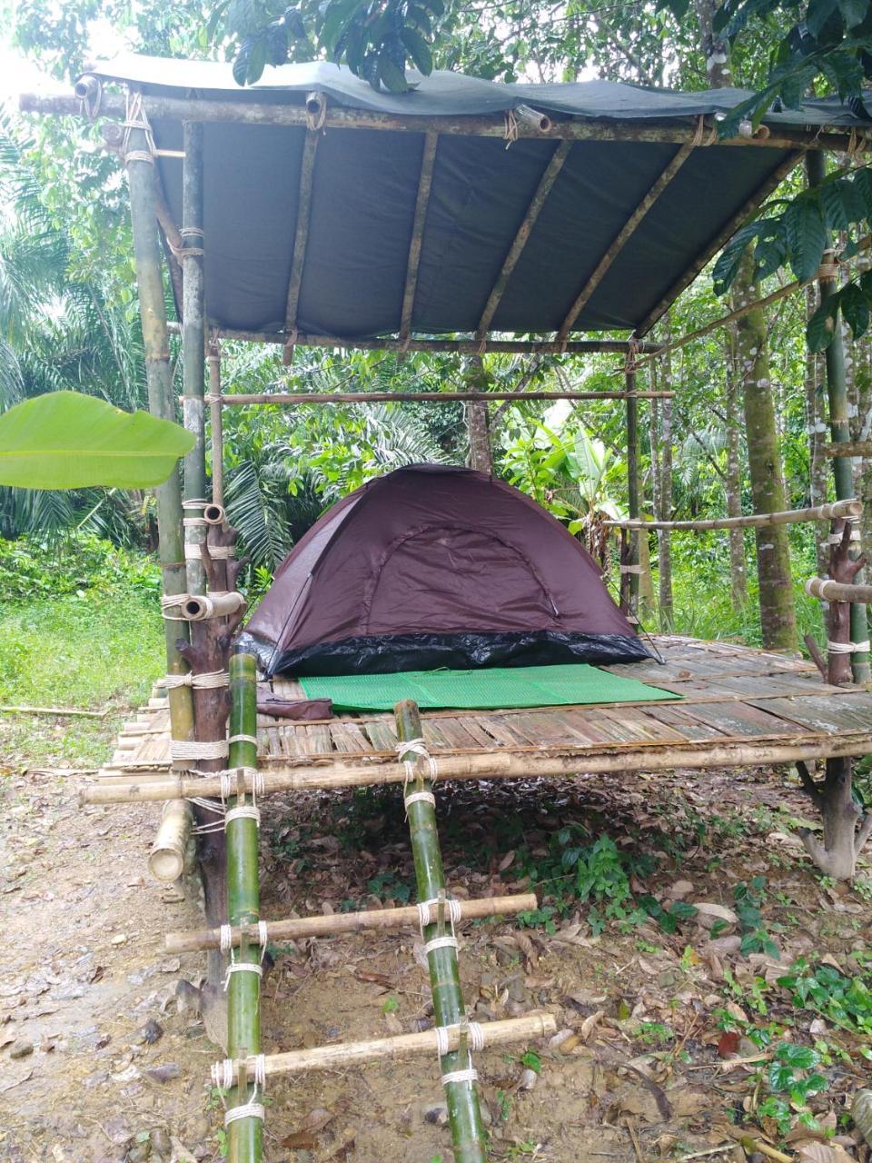 Khai Jungle Experience Resort Khao Sok National Park