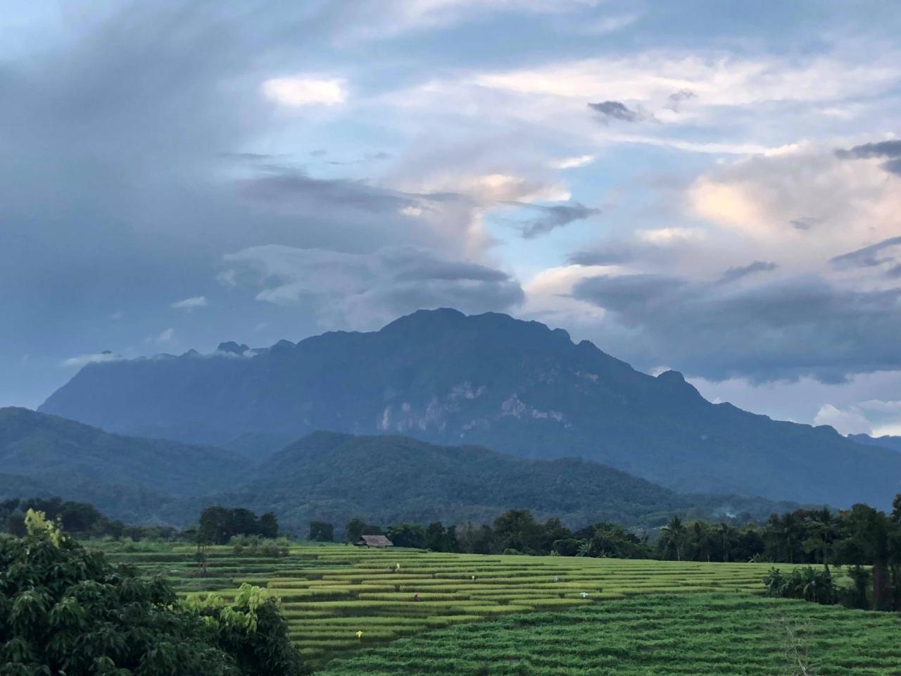 Buraphat 3* Chiang Dao