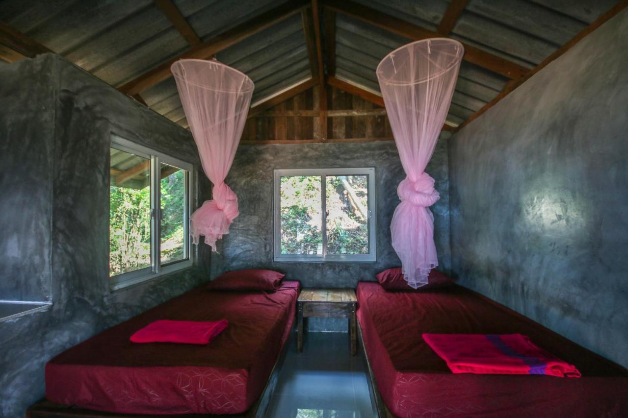 Guest house Hornbill *