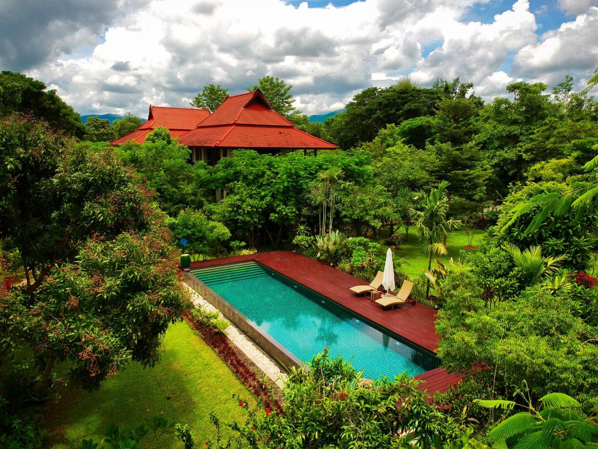 Albizia, Chiang Mai *