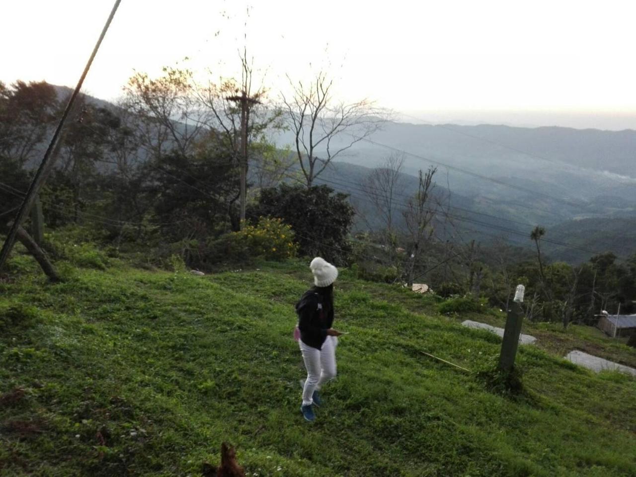 Resort Phu Mok Dok Mai Wiang Kaen