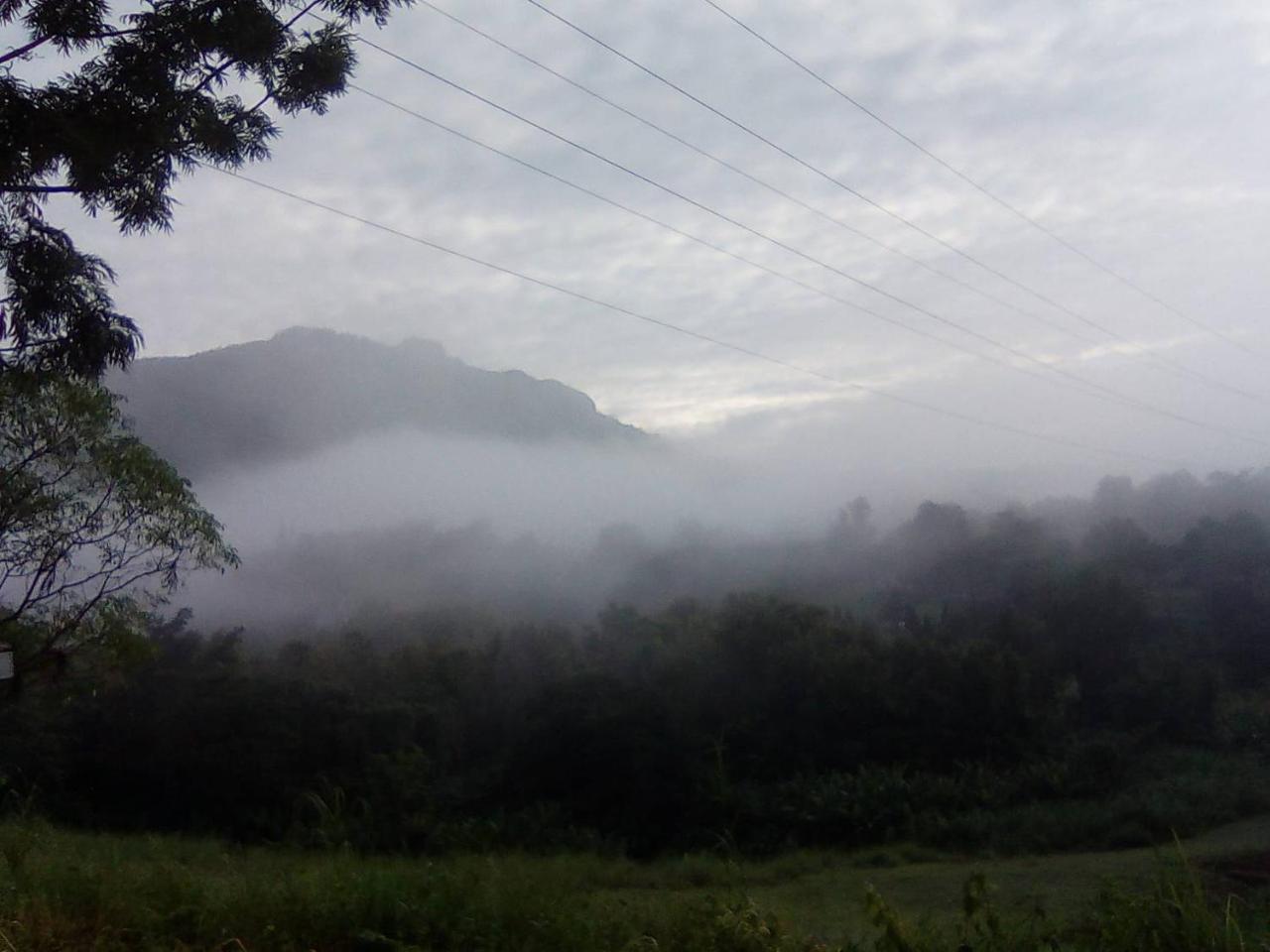 Red Z Cool Mountain