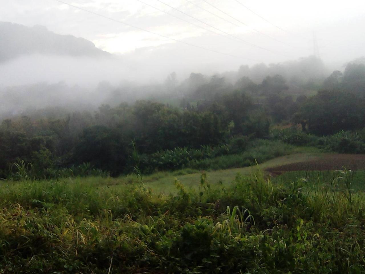 Resort Red Z Cool Mountain Khao Kho