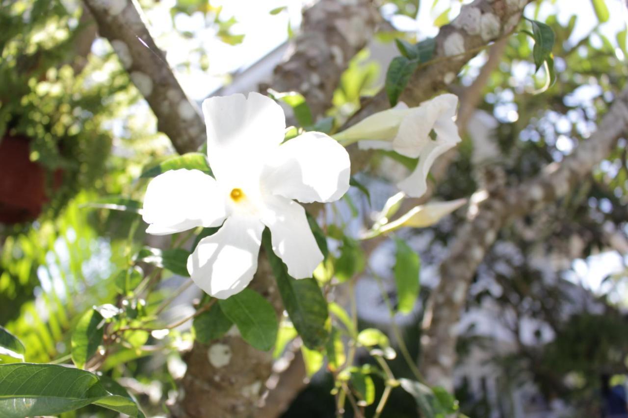 Moeimanee 3* Mae Sot