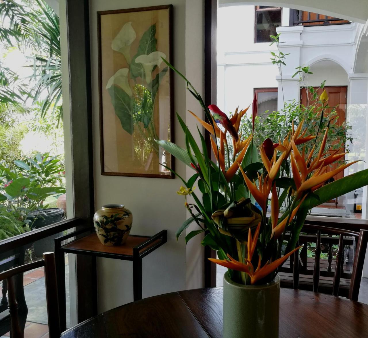 Albizia, Chiang Mai *