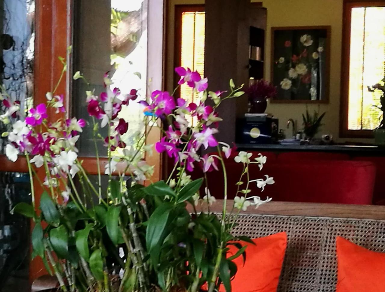 Bed & Breakfast Albizia, Chiang Mai *