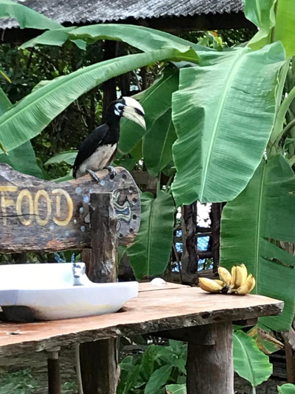 Kohchangresortranong 2* Koh Chang Ranong