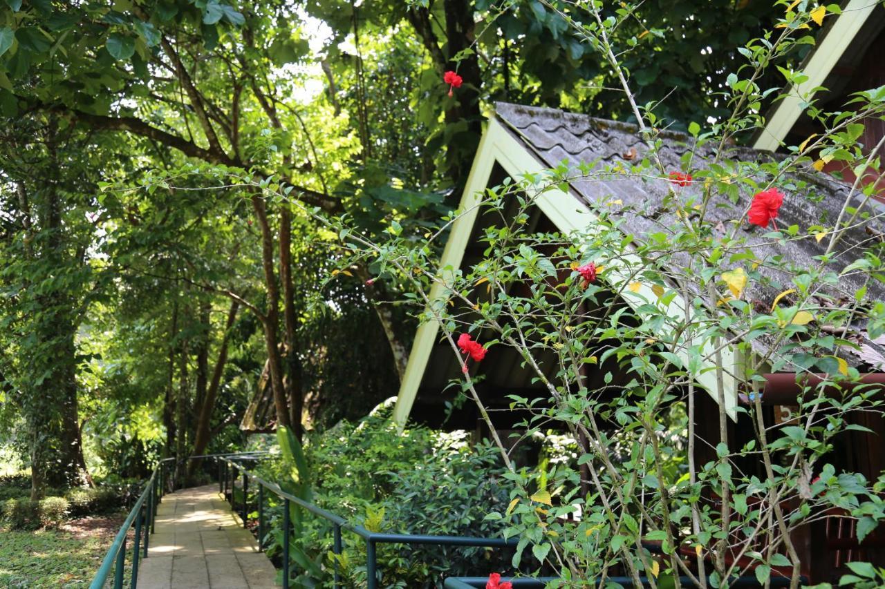 Khao Sok Riverside *