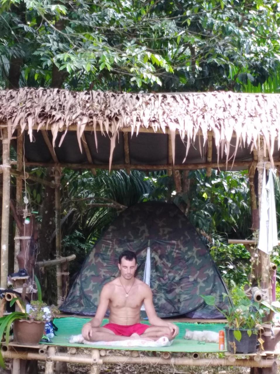 Resort Khai Jungle Experience Khao Sok National Park