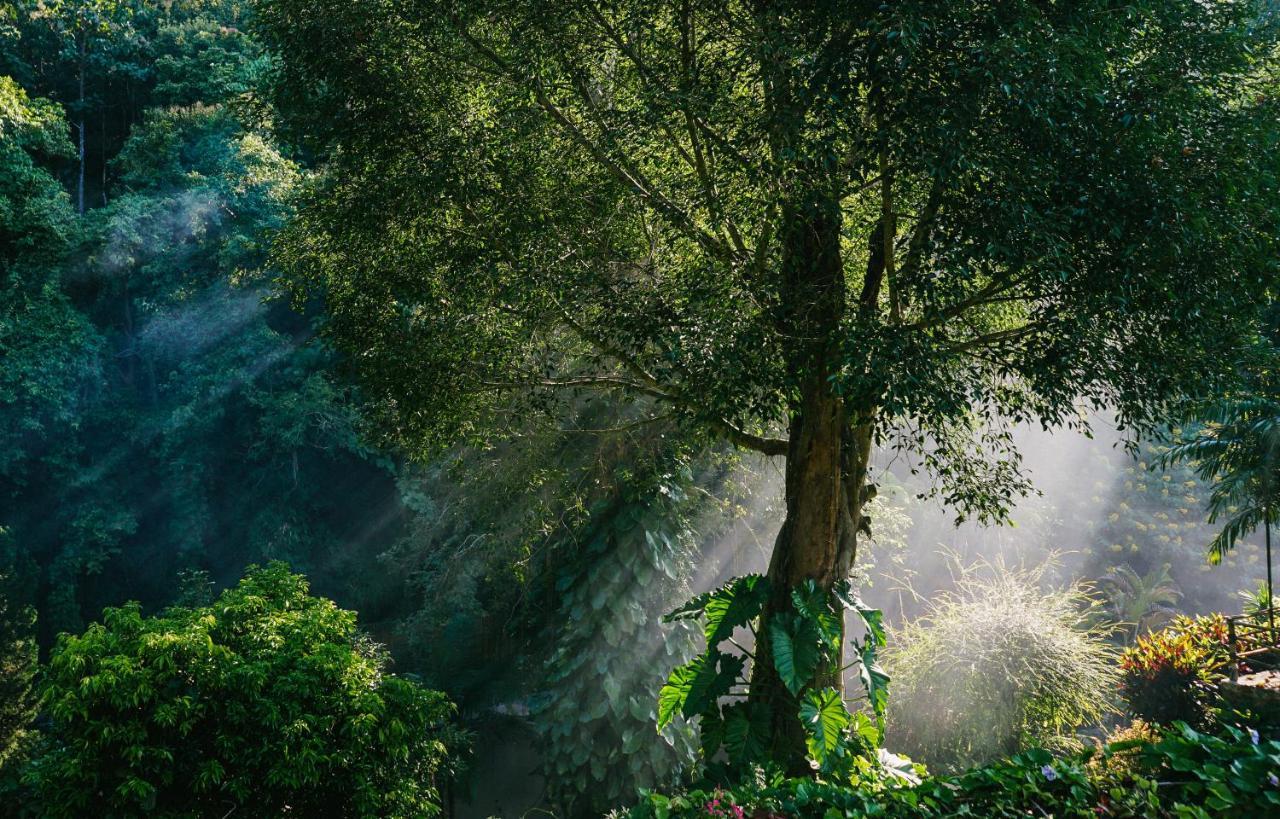 Phutarntree 3* Chiang Mai