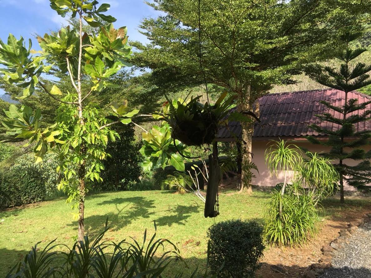 Resort Khao Sok Hill Khao Sok National Park