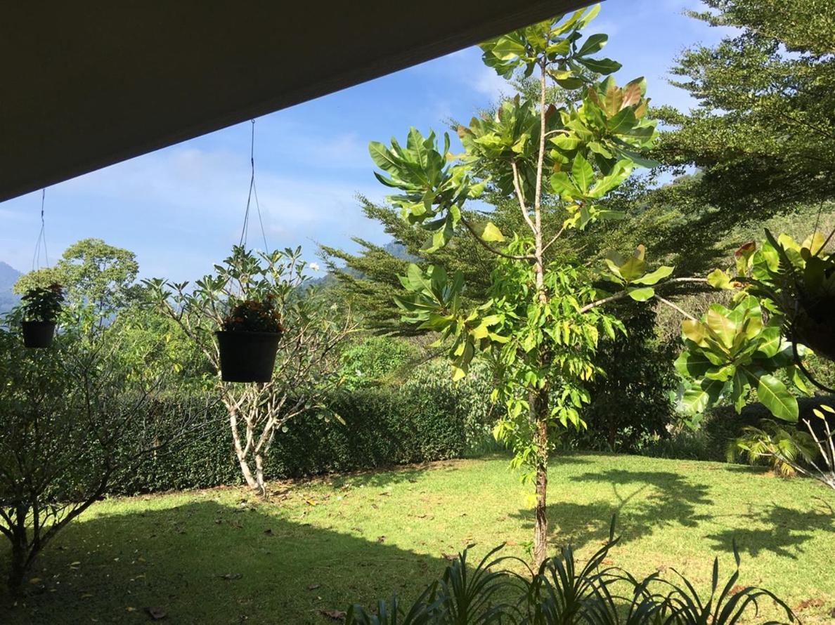 Khao Sok Hill 2*