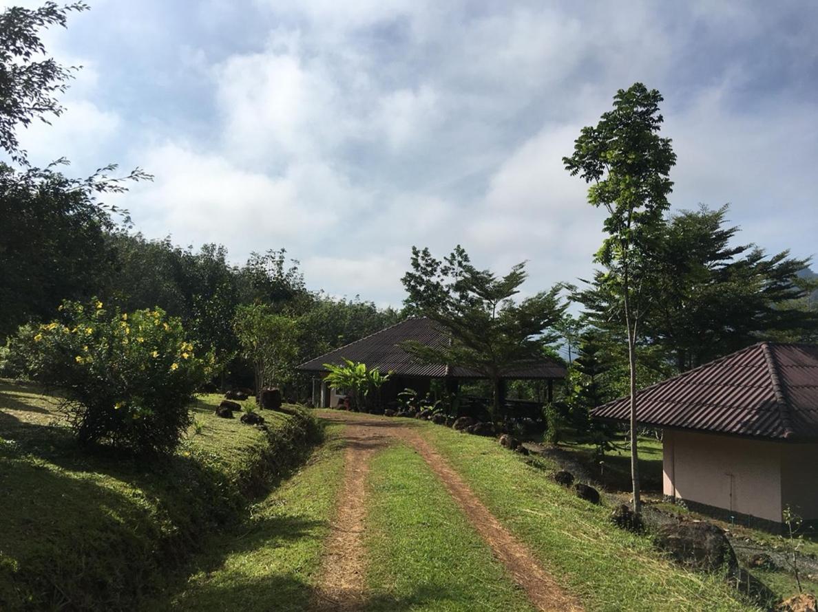 Khao Sok Hill 2*