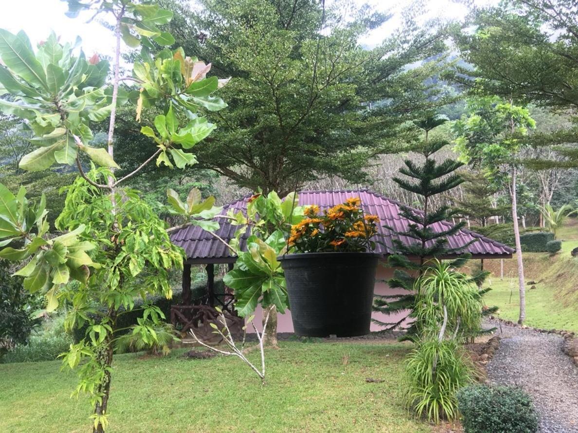 Khao Sok Hill