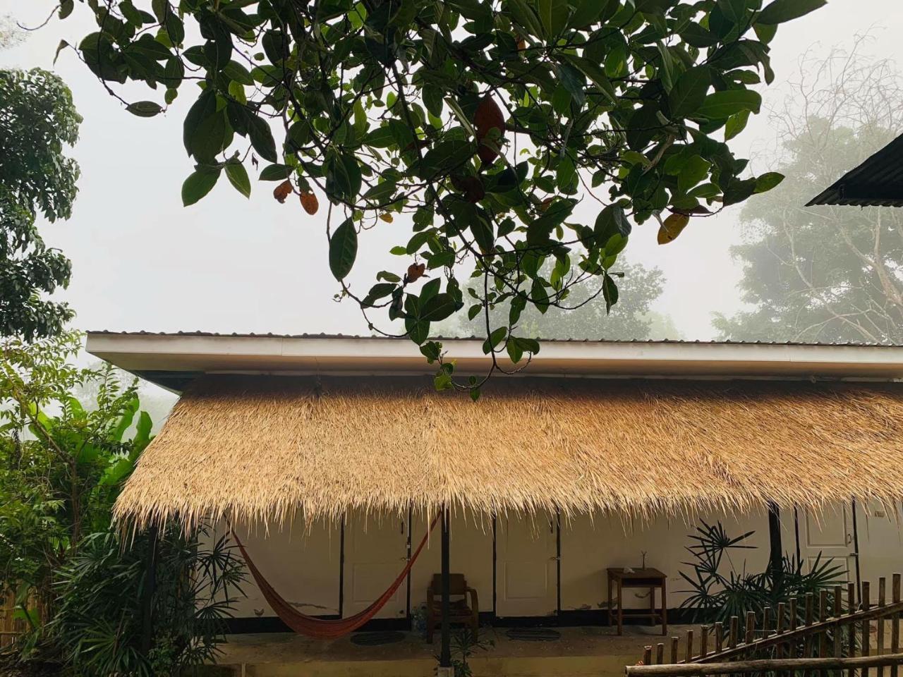 Guest house Yard
