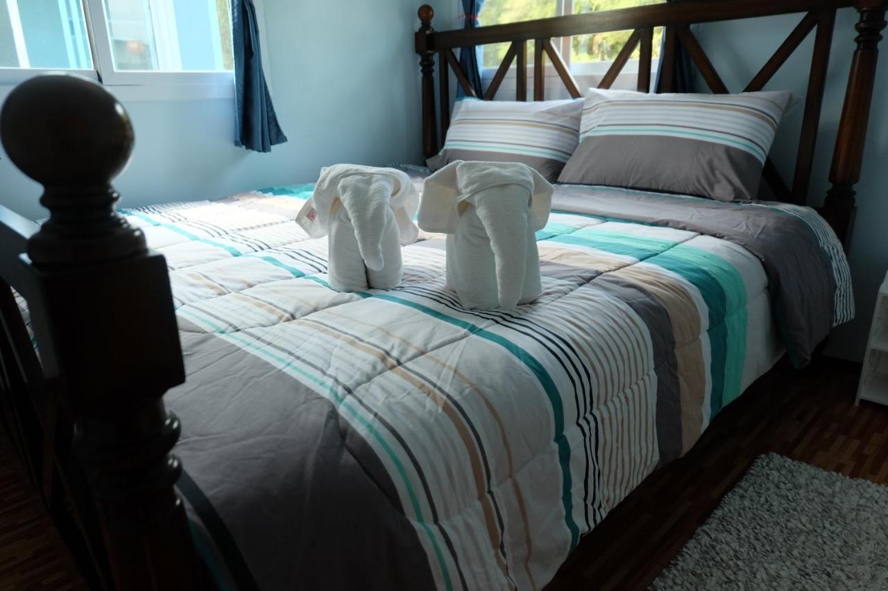 Farm stay Saengcha Farm