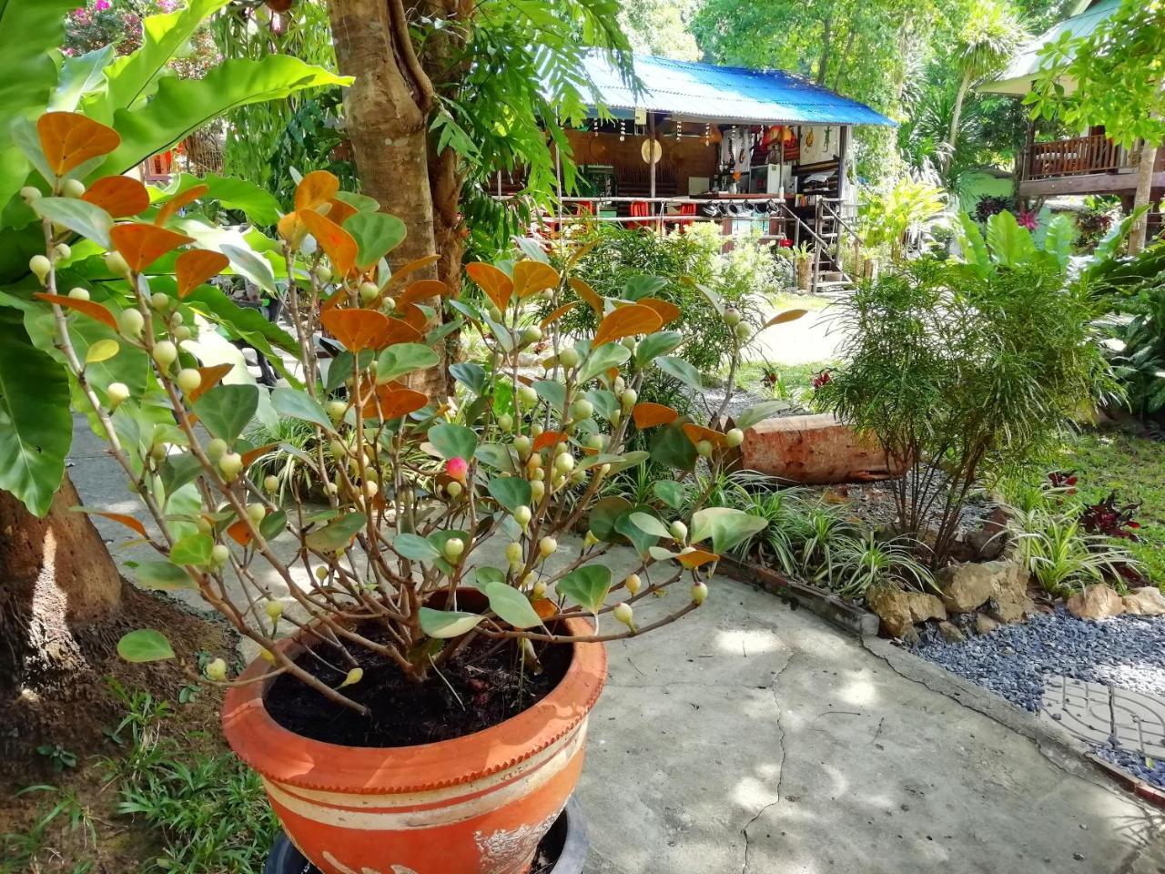 Resort Macura 3*