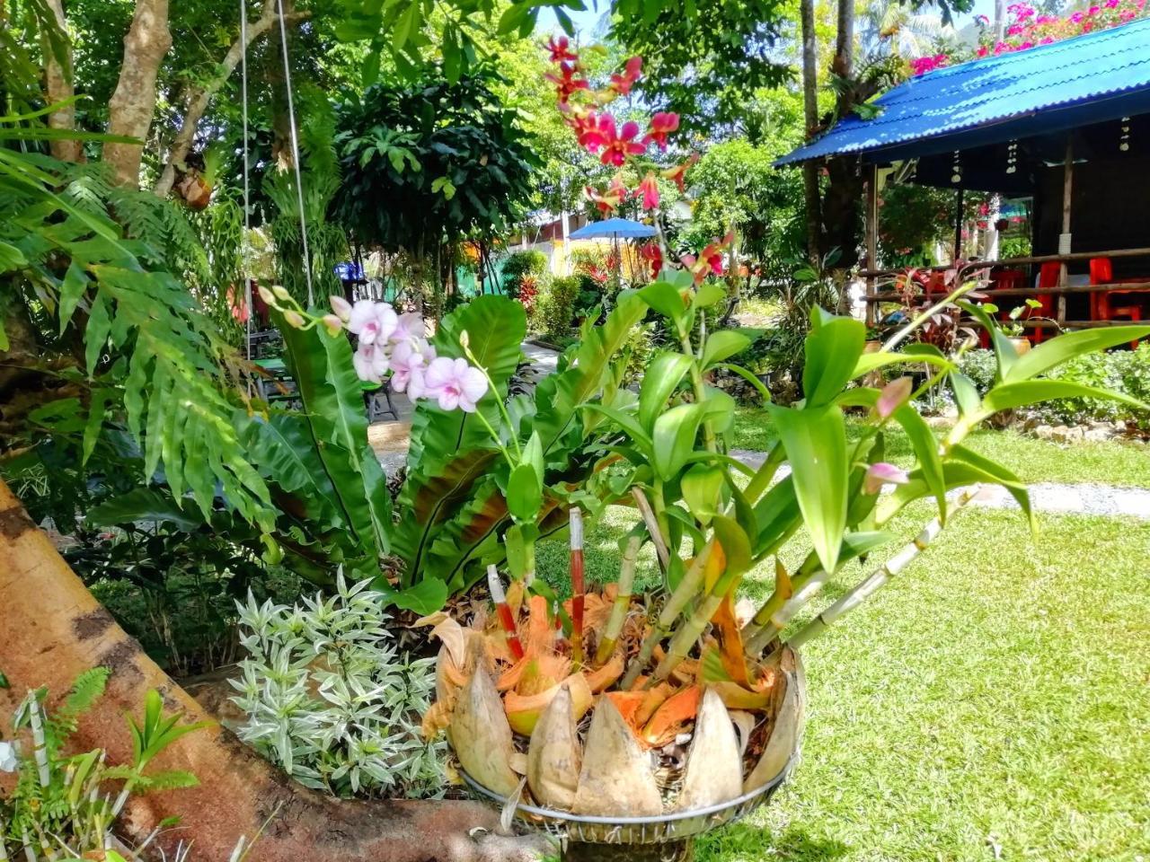Resort Macura