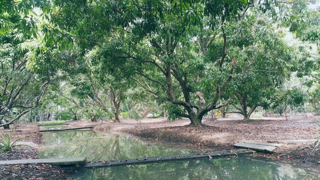 Warakorn Baansuan