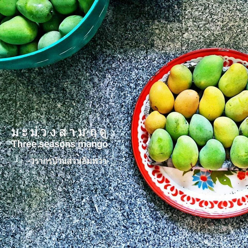 Warakorn Baansuan Homestay Amphawa