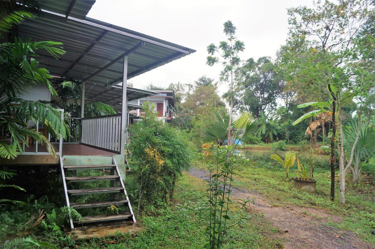 Phangan Farm Stay Eco Organic Farming Ko Pha Ngan
