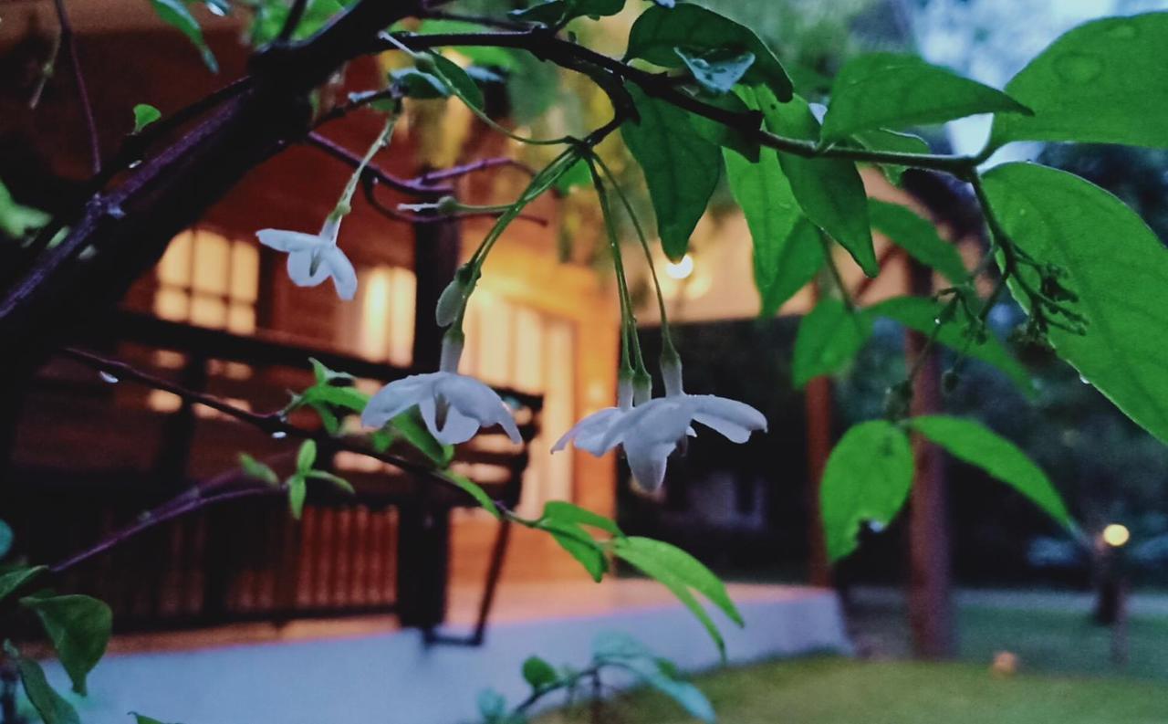 Rai Lung Tui Homestay Prachuap Khiri Khan