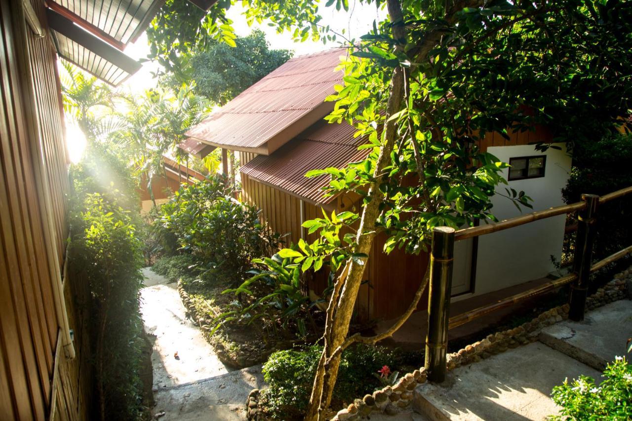 Zama Koh Phangan Haad Chao Phao