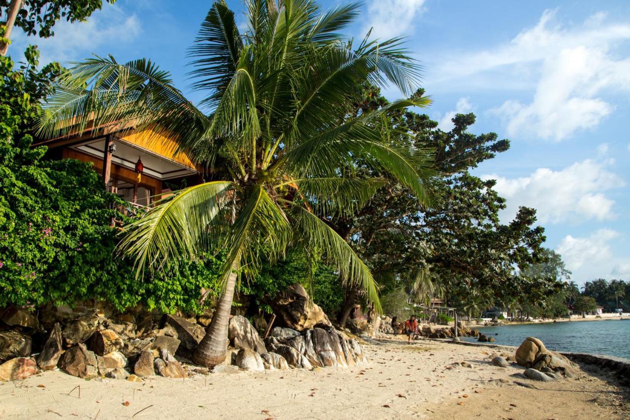 Zama Koh Phangan Haad Chao Phao