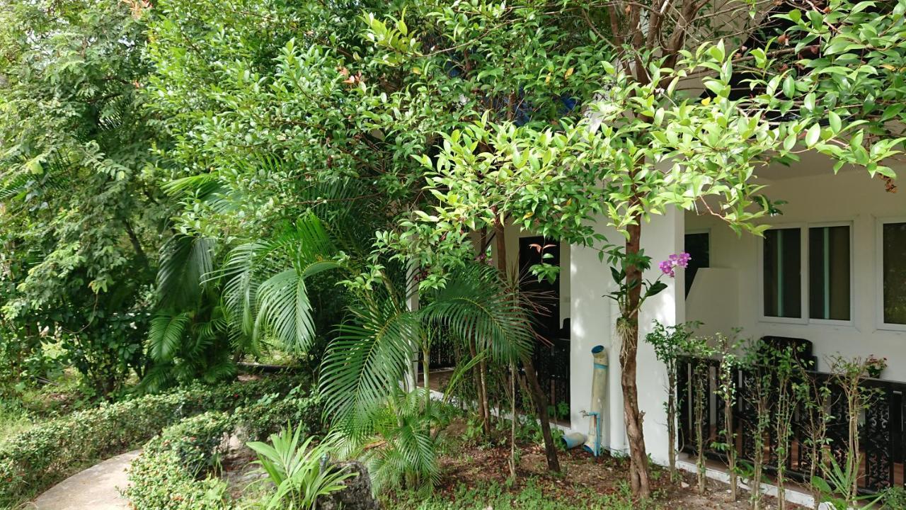 The Krabi Forest *