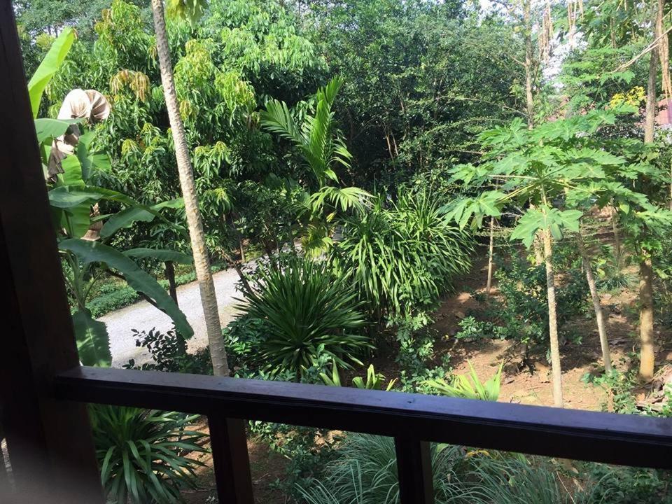 Lodge Baan Rai Pu Fa