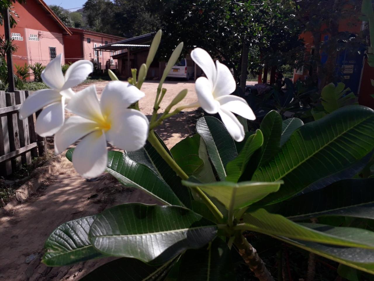Lanta Lucky House * Koh Lanta