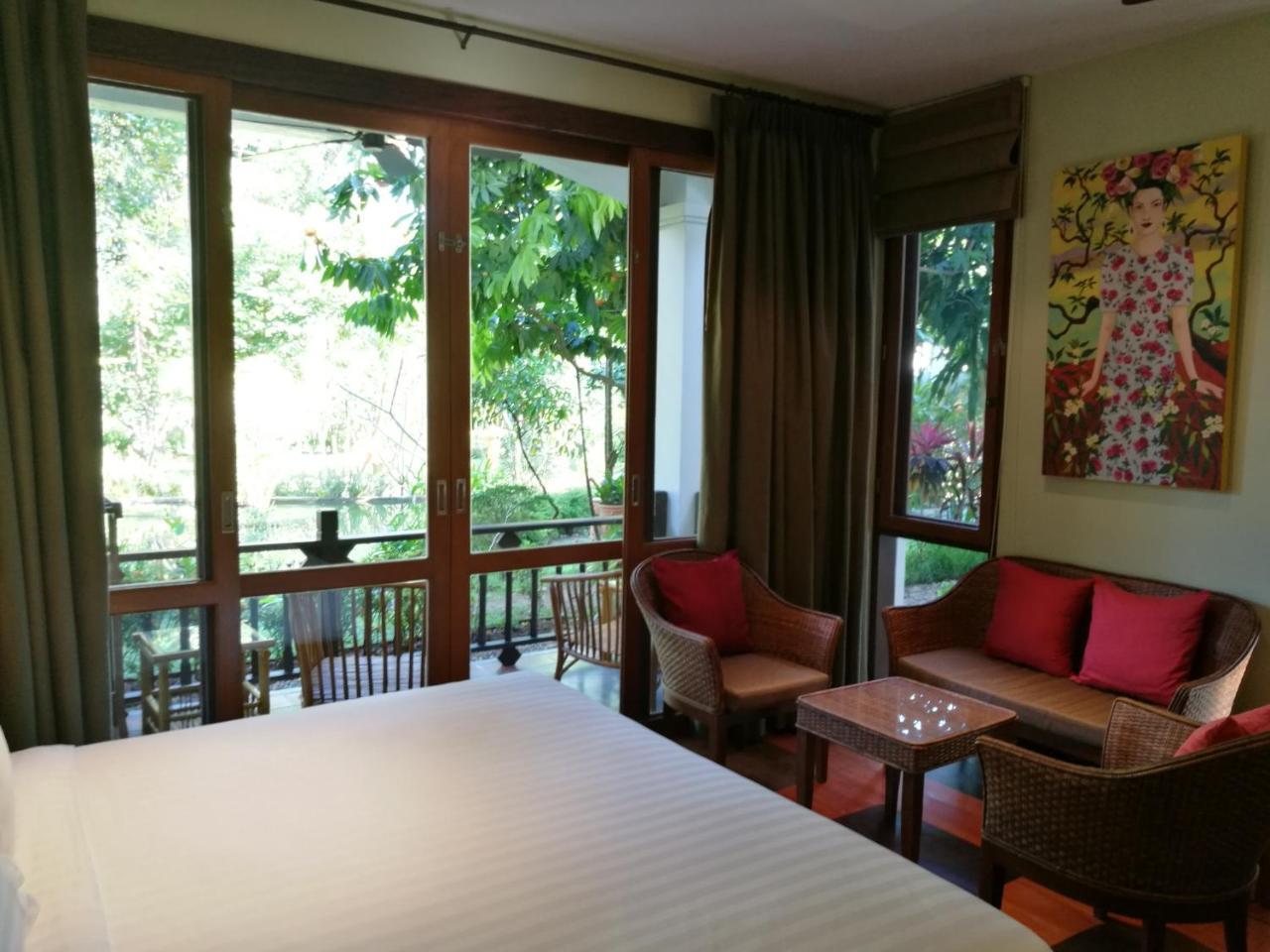 Albizia, Chiang Mai