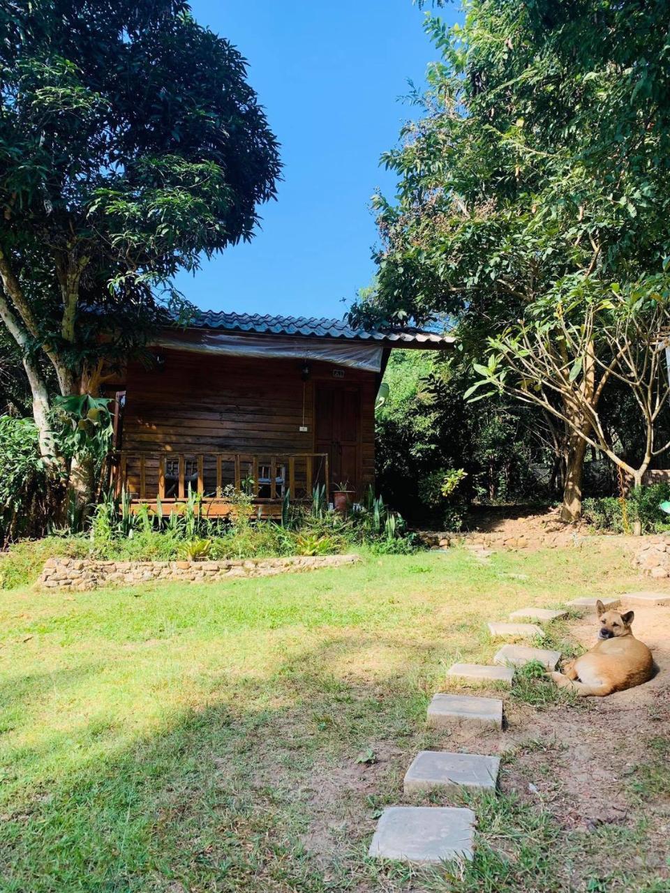 Yard Guest house *