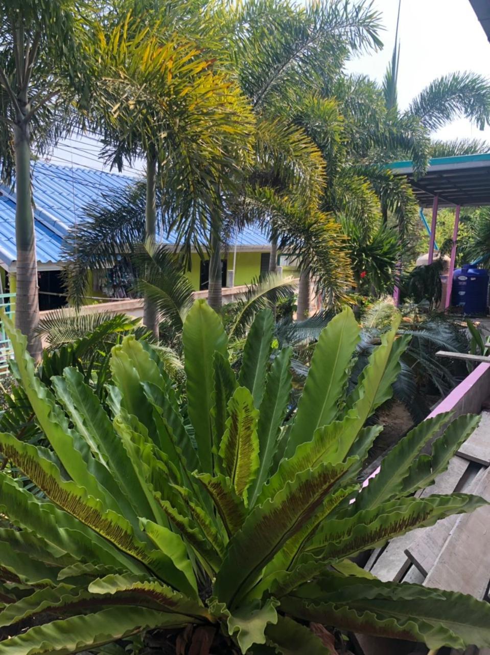 Bann Pa Su Guest house