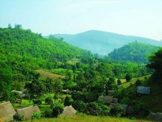 Hotel Bamboo Country Chiang Mai *