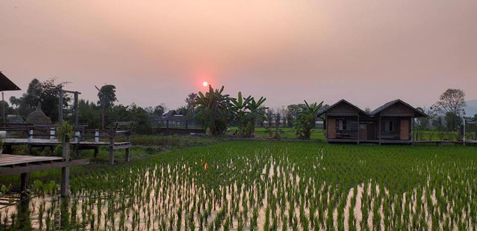Resort Sanikul Mae Chan