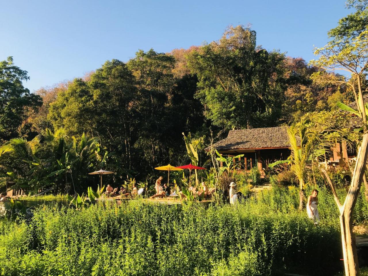 Fern Resort
